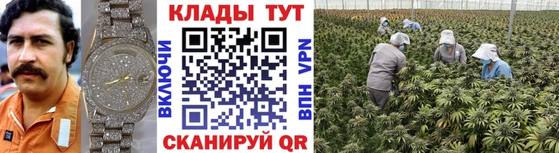 Купить наркотик Железногорск A PVP Кокаин Меф БУТИРАТ ГАШ Бошки Шишки