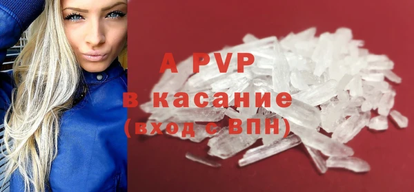 сатива Вяземский