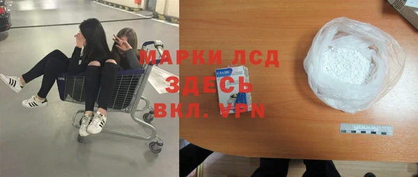 сатива Вяземский