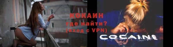 сатива Вяземский