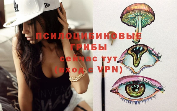 Альфа ПВП Вязники