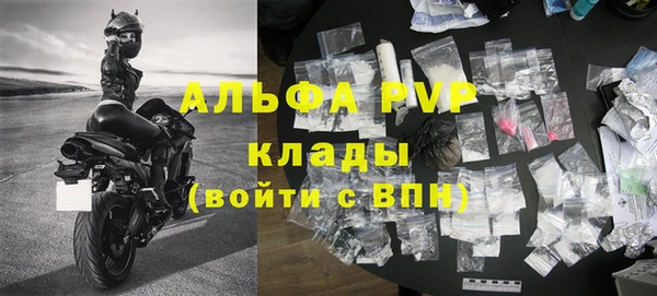 сатива Вяземский