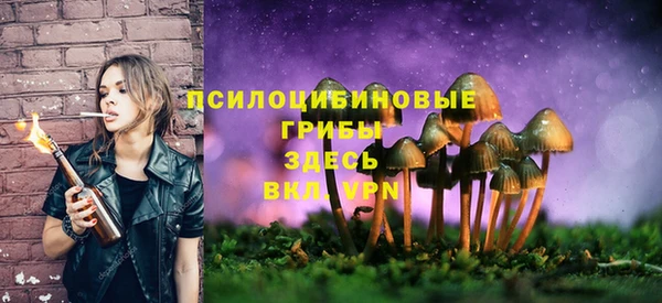 мескалин Вязьма