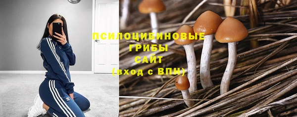 мескалин Вязьма