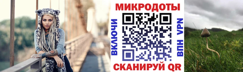 Псилоцибиновые грибы GOLDEN TEACHER  закладки  Железногорск 
